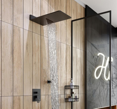 Душевая система встроенная Timo Briana SX-7139/03SM черный фото в интернет-магазине Русалия