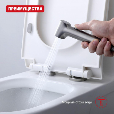 Лейка для гигиенического душа Raglo R460.05.09, графит фото в интернет-магазине Русалия