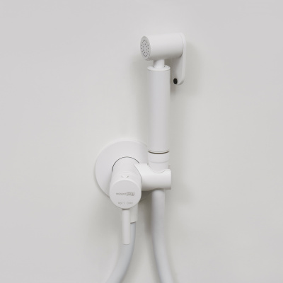 A70538 Встраиваемый смеситель для душа с гигиенической лейкой Wasserkraft фото в интернет-магазине Русалия