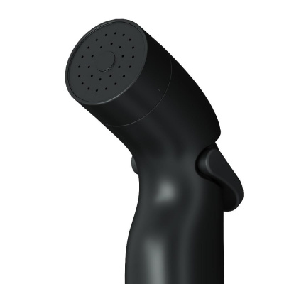 F0202022 Гигиенический набор со шлангом и держателем, чёрный, шт. фото в интернет-магазине Русалия