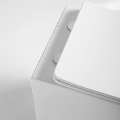 Унитаз подвесной Piatti VT1-11S, цвет белый, ультратонкое soft-close сиденье Vincea фото в интернет-магазине Русалия