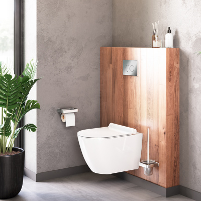 DX22C1700SC Apollo подвесной унитаз без ободка с сиденьем микролифт фото в интернет-магазине Русалия