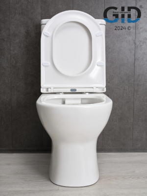 Унитаз напольный Gid Tn2123 62243Y белый 67x38.5x82 фото в интернет-магазине Русалия