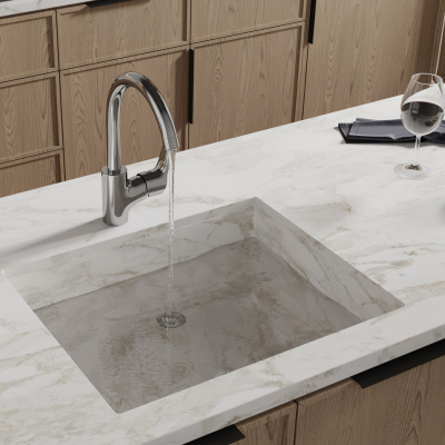 Lippe 4507 Смеситель для кухни Wasserkraft фото в интернет-магазине Русалия