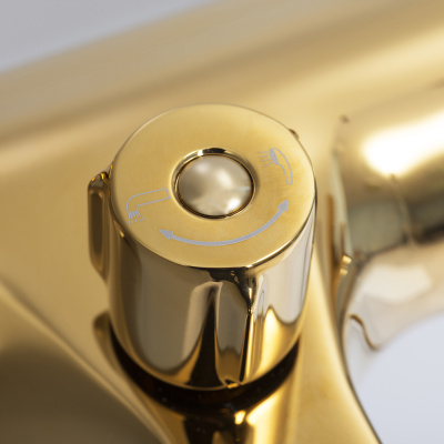 Sauer 7101 Смеситель для ванны с коротким изливом Wasserkraft фото в интернет-магазине Русалия