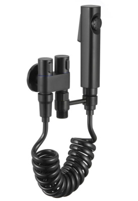 Смеситель для биде Fmark (FS-FXQ02H) фото в интернет-магазине Русалия