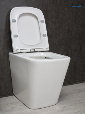 Унитаз приставной Gid TRS-264 62240Y белый 56x34.5x40 фото в интернет-магазине Русалия