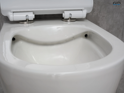 Унитаз подвесной Gid Tr2122b 62256Y белый 53.5x36x35 фото в интернет-магазине Русалия