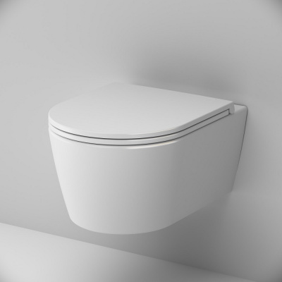 C8F1700SC Func подвесной унитаз 49 см FlashClean с сиденьем микролифт фото в интернет-магазине Русалия