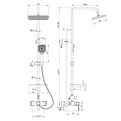 Душевая система Lemark Evitta с регулируемой высотой штанги (LM0560C) фото в интернет-магазине Русалия