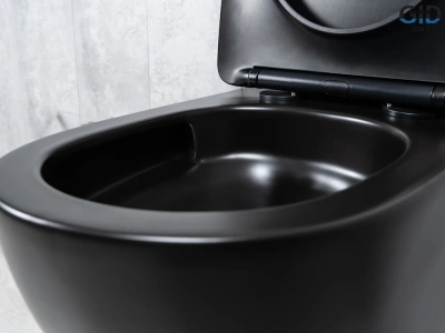 Унитаз подвесной Tornado Gid Tr2122TF-Bm 62261Y черный матовый 49x36x36 фото в интернет-магазине Русалия