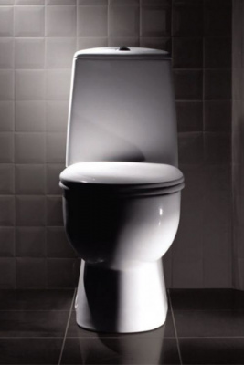 Унитаз Best Comfort с сиденьем микролифт WC.CC/Best/2-DM/WHT.G/S1 Sanita Luxe фото в интернет-магазине Русалия