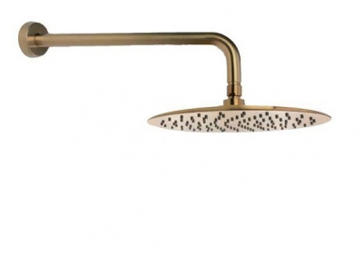 Излив тропического душа настенный круглый латунь HIDROTERAPIA BHRM250OC золото брашированное Ramon Soler фото в интернет-магазине Русалия