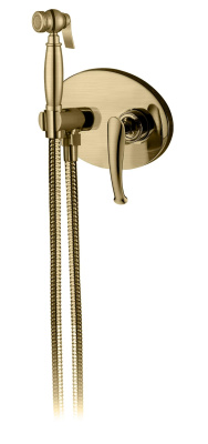 Встраиваемый гигиенический душ AltroBagno Beatrice 060111 Br AltroBagnoBeatrice060111Br фото в интернет-магазине Русалия