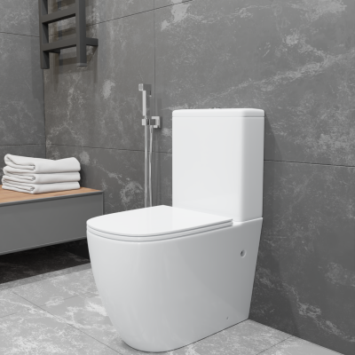 Напольный унитаз CARAVAN CT700-131W CHARUS фото в интернет-магазине Русалия