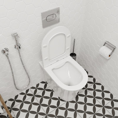 Унитаз ADIGE F приставной безободковый Ceruttispa CT8907 (500x365x405) фото в интернет-магазине Русалия