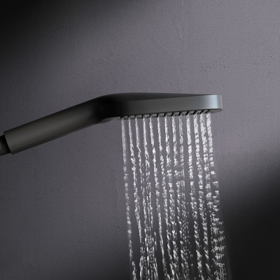 F028F022 Func Ручной душ  3 ф-ции 103х257мм, черный AM.PM фото в интернет-магазине Русалия