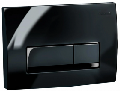 Клавиша смыва 115.105.DW.1 Delta 51, черная глянцевая Geberit фото в интернет-магазине Русалия
