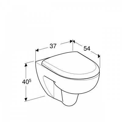 Комплект унитаз Renova Rimfree с инсталляцией 500.124.TC.R Geberit фото в интернет-магазине Русалия