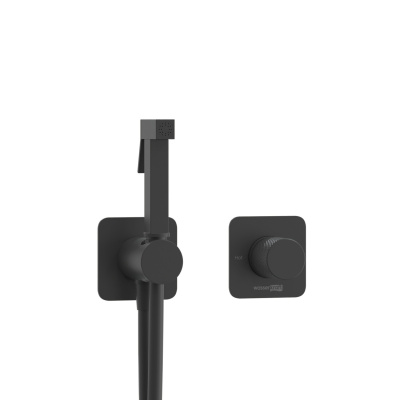 A5251.302.241.212 Встраиваемый комплект для биде со шлангом Wasserkraft фото в интернет-магазине Русалия