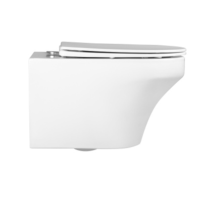 FRANZ D RIMLESS Безободковый подвесной унитаз EWC700-124W CHARUS фото в интернет-магазине Русалия