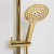 A171.263.207.PG Душевой комплект со смесителем Wasserkraft фото в интернет-магазине Русалия