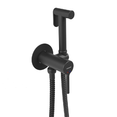 Смеситель для биде скрытого монтажа EXCELLENT Pi AREX.1204BL (черный мат) фото в интернет-магазине Русалия