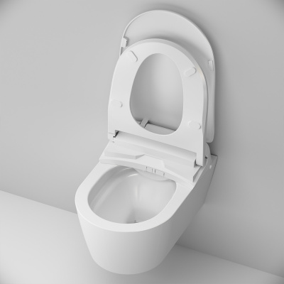 C8F1702SC Func подвесной унитаз FlashClean c эл крышкой-биде со скрытой подводкой фото в интернет-магазине Русалия