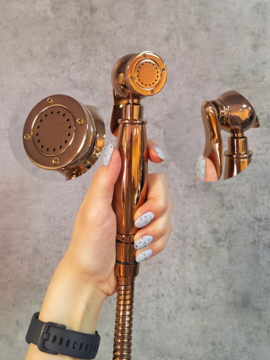 Встраиваемый гигиенический душ AltroBagno Beatrice 060114 ROr AltroBagnoBeatrice060114ROr фото в интернет-магазине Русалия