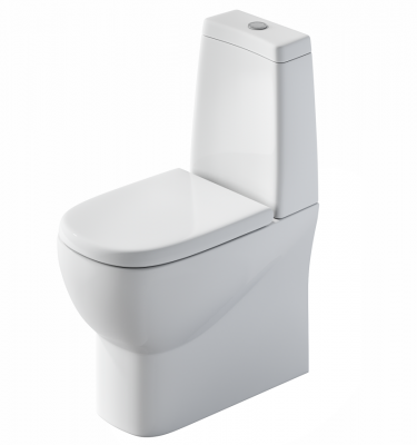 Унитаз Infinity с сиденьем микролифт INFSLCC01040522 Sanita Luxe фото в интернет-магазине Русалия