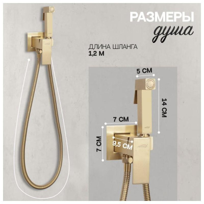 Гигиенический душ со смесителем встраиваемый Hansberge H3077MG, матовое золото фото в интернет-магазине Русалия