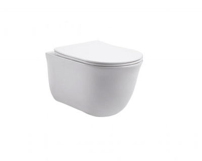 Унитаз подвесной безободковый AQUATEK КЛАССИК AQ1111-00 525*365*340 мм, горизонтальный выпуск, тонкое сиденье с механизмом плавного закрывания, крепеж фото в интернет-магазине Русалия