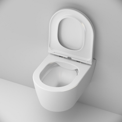 C8F1700SC Func подвесной унитаз 49 см FlashClean с сиденьем микролифт фото в интернет-магазине Русалия