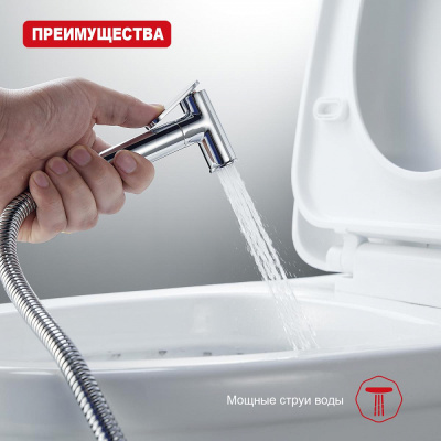 Лейка для гигиенического душа Raglo R460.03, хром фото в интернет-магазине Русалия
