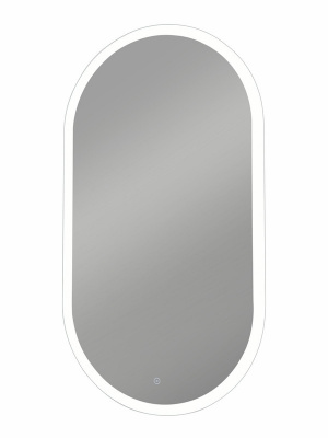 Зеркало с подсветкой Delight 550х1000 ЗЛП458 Continent фото в интернет-магазине Русалия