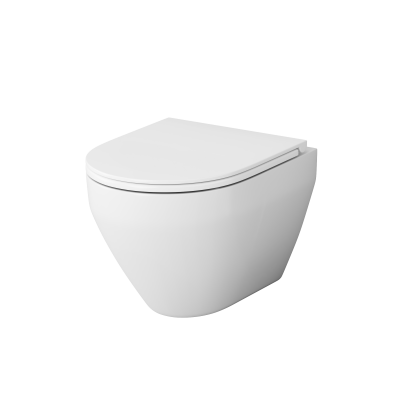 C701700WH Spirit V2.0 подвесной унитаз FlashClean фото в интернет-магазине Русалия