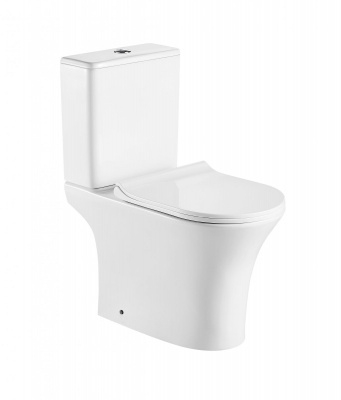 Унитаз безободковый AZ-1038A Fretta Round с сиденьем микролифт Azario фото в интернет-магазине Русалия