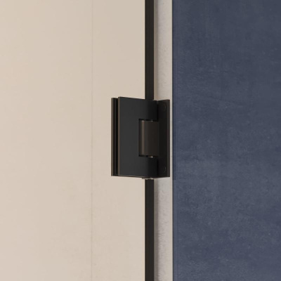 Душевая дверь RGW HO-012B 900, стекло прозрачное, профиль черный фото в интернет-магазине Русалия