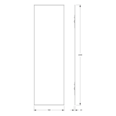 Зеркало настенное с фацетом Standard EVOFORM 30x100 см, BY 0229 фото в интернет-магазине Русалия
