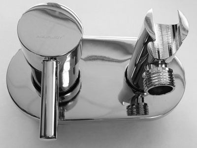 Смеситель для душа встраиваемый LT012201 AquaJoy фото в интернет-магазине Русалия