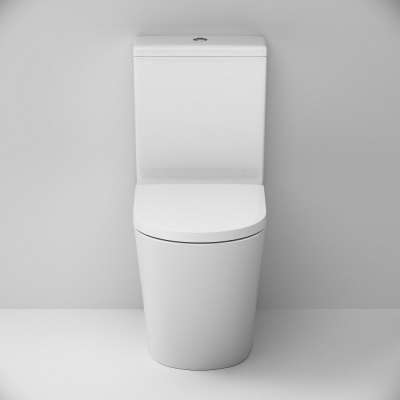 C8F8600SC Func унитаз-компакт безободковый с сиденьем микролифт Am.Pm фото в интернет-магазине Русалия