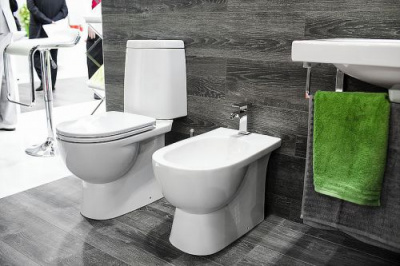 Унитаз Fest  Luxe с сиденьем микролифт FSTSLCC01040622 Sanita Luxe фото в интернет-магазине Русалия