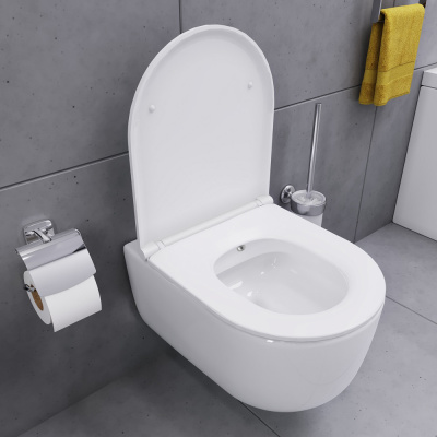 DX86C1800SC Sirius подвесной унитаз безободковый с функцией биде с сиденьем микролифт фото в интернет-магазине Русалия