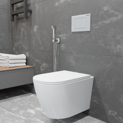 ESTELLA RIMLESS Безободковый подвесной унитаз EWC700-121W CHARUS фото в интернет-магазине Русалия