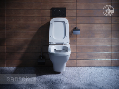 Унитаз подвесной безободковый с сиденьем микролифт rimless Лайн 1WH501574 Сантек фото в интернет-магазине Русалия