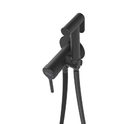 Смеситель для биде скрытого монтажа EXCELLENT Pi AREX.1204BL (черный мат) фото в интернет-магазине Русалия