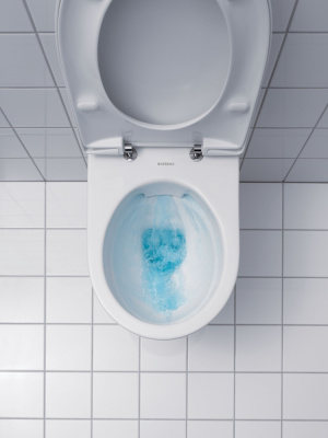 Комплект унитаз Renova Rimfree с инсталляцией 500.124.TC.R Geberit фото в интернет-магазине Русалия