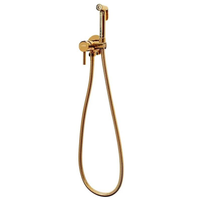 Гигиенический душ со смесителем встраиваемый Hansberge H3099GO, золото фото в интернет-магазине Русалия