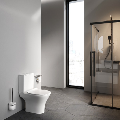 C748600SC Sense унитаз-компакт FlashClean с сид м/лифт Am.Pm фото в интернет-магазине Русалия