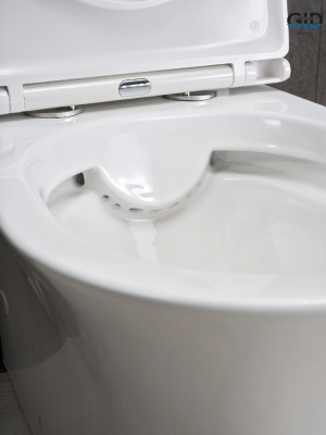 Унитаз напольный Gid Tn2126 62246Y белый 64.5x37.5x83 фото в интернет-магазине Русалия